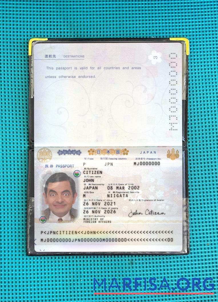 Realistic Japan passport 2021 present photolook real example